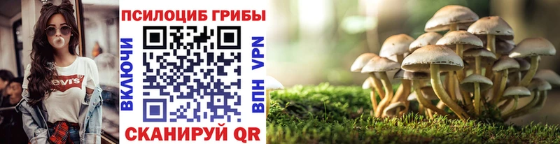 мориарти состав  блэк спрут tor  Ноябрьск  Псилоцибиновые грибы Cubensis 