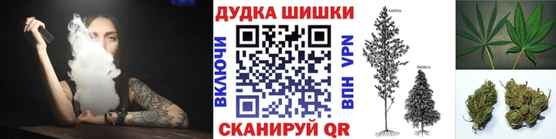 Бошки марихуана сатива  дарнет шоп  Ноябрьск 
